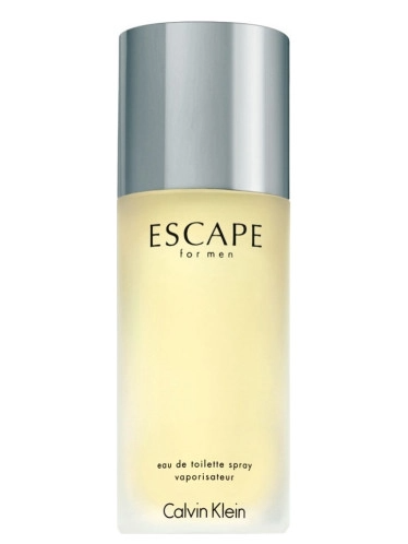 Calvin Klein Escape Perfume 100ml For Men