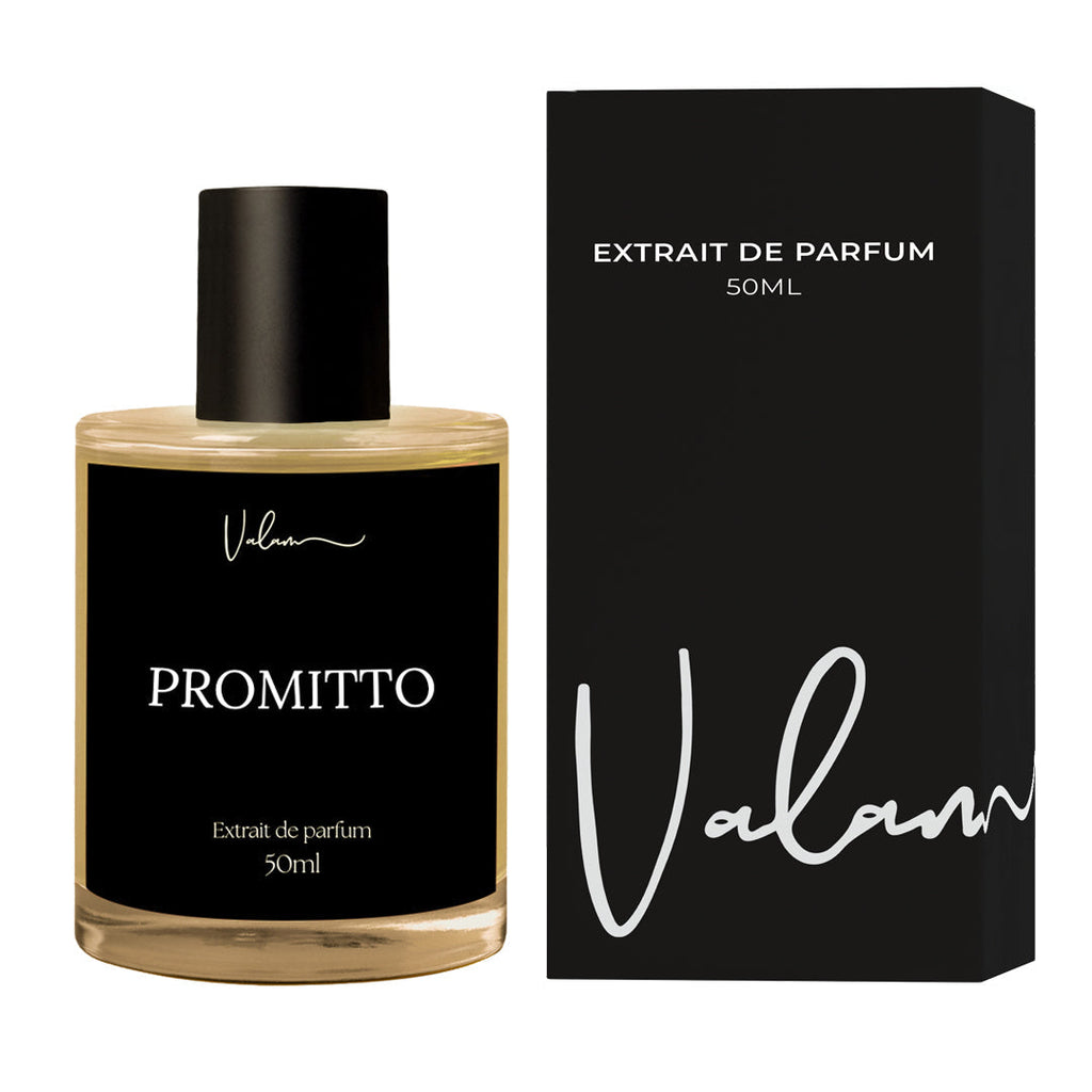 Promitto