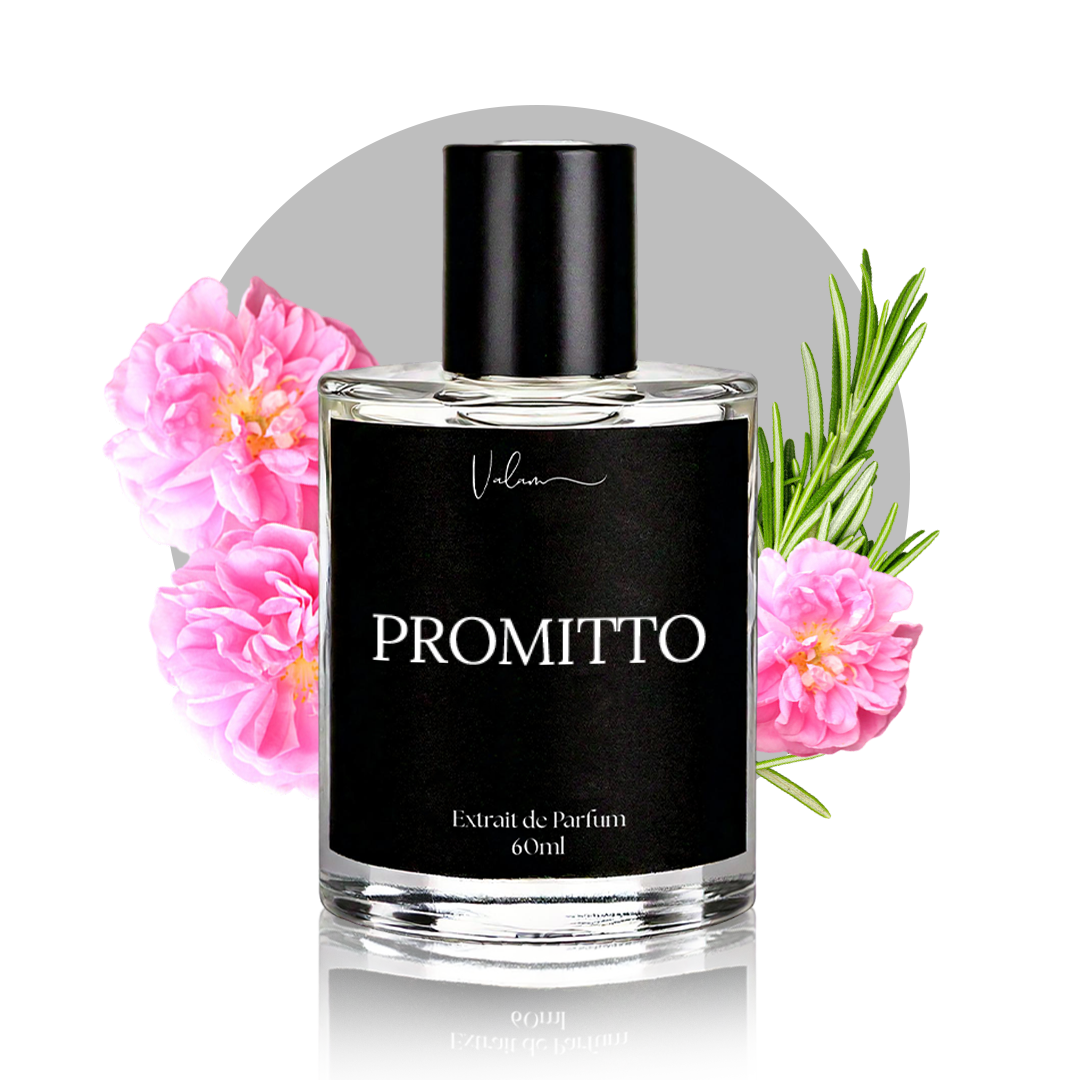 Promitto